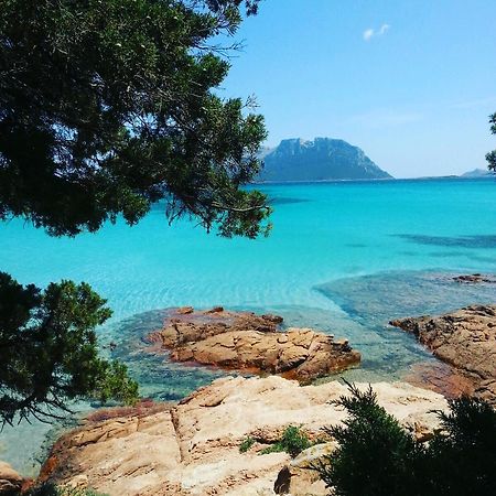 B&B Somiar San Teodoro  Dış mekan fotoğraf