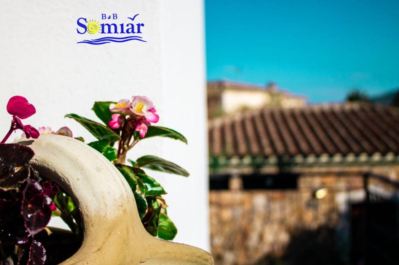 B&B Somiar San Teodoro  Dış mekan fotoğraf